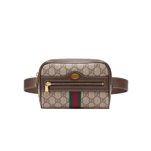 [스페셜오더]GUCCI 517076-2863 구찌 오피디아 체스트넛 스웨이드 스몰 벨트백