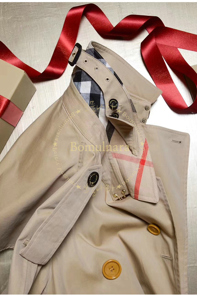 burberry9-1018-7.jpg