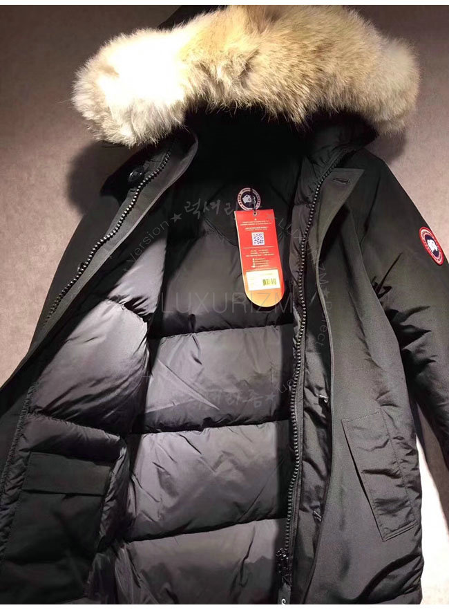 canada goose1-1021-6.jpg