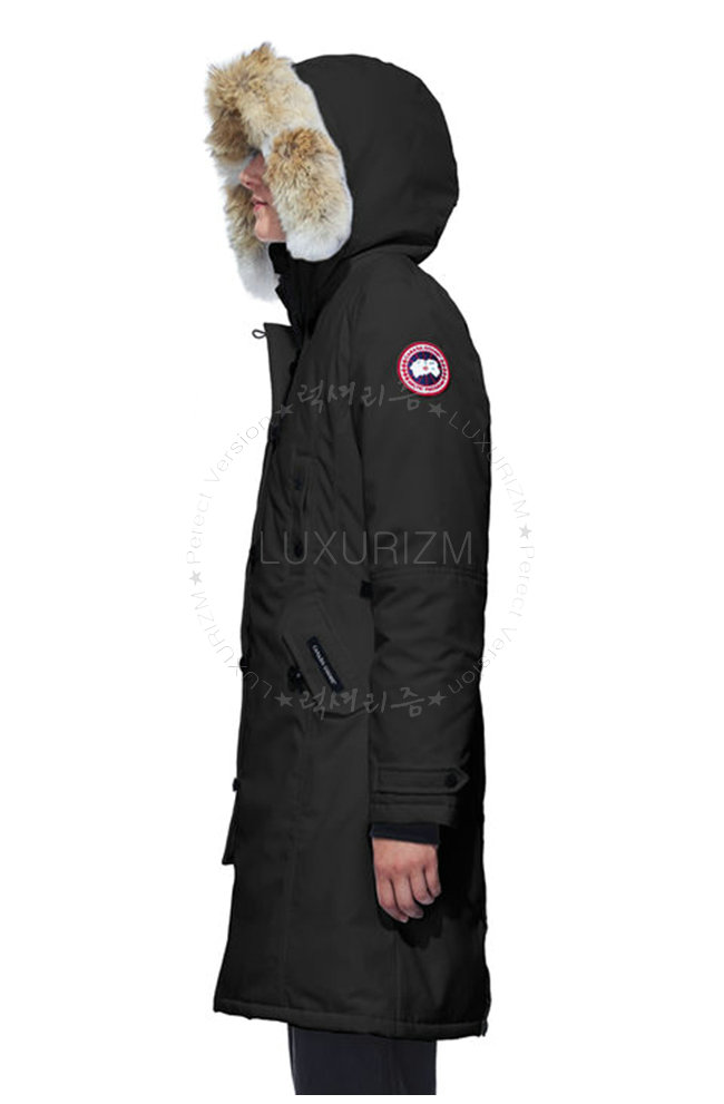 canada goose10-1021-3.jpg