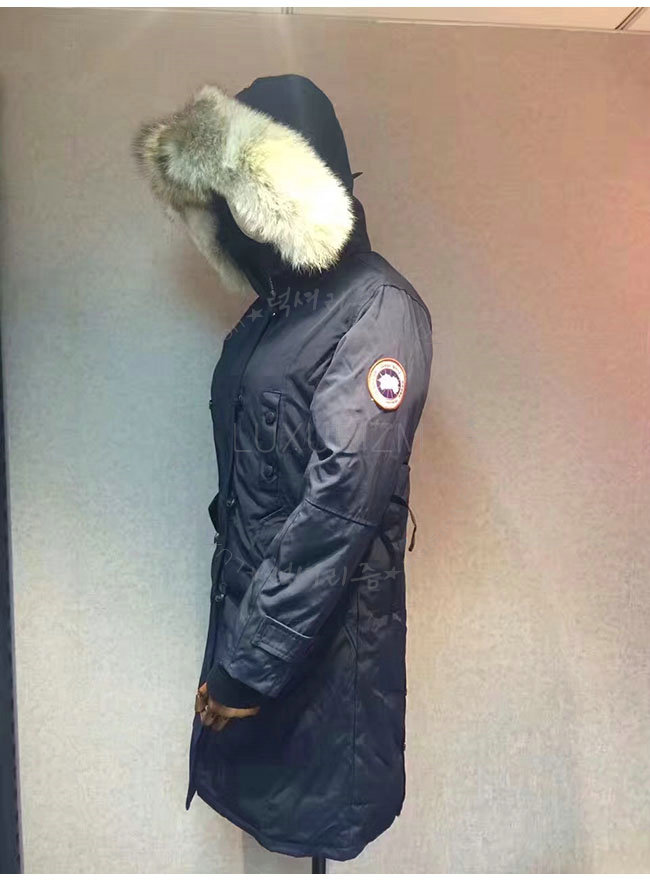 canada goose11-1021-5.jpg