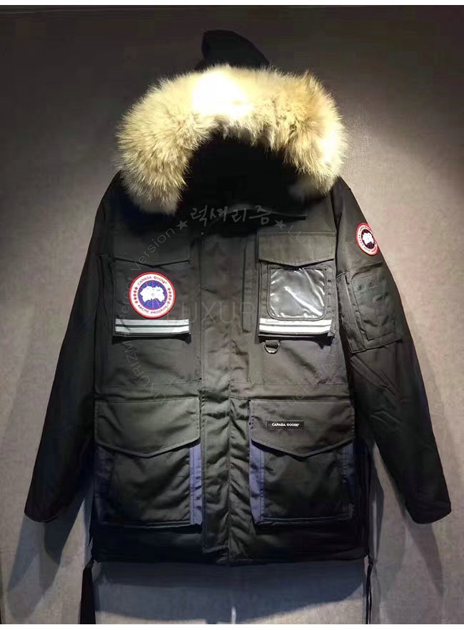 canada goose3-1021-3.jpg