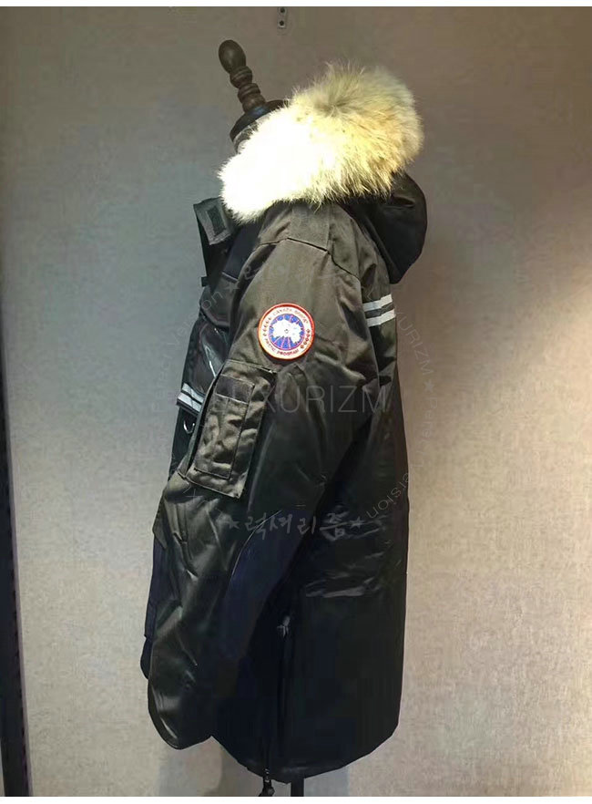 canada goose3-1021-5.jpg