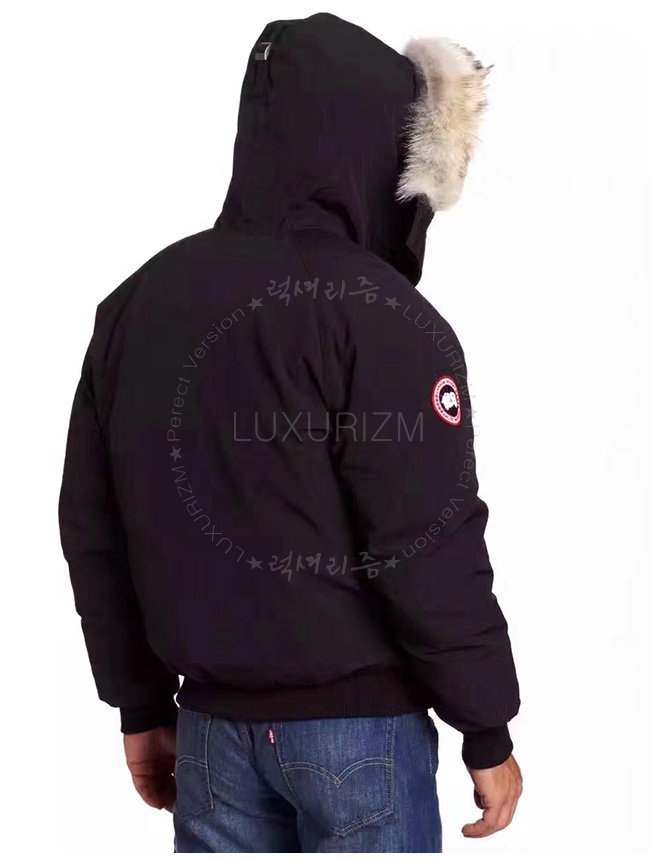 canada goose2-1023-4.jpg