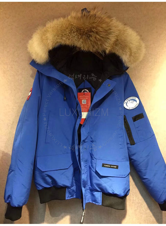 canada goose4-1023-5.jpg