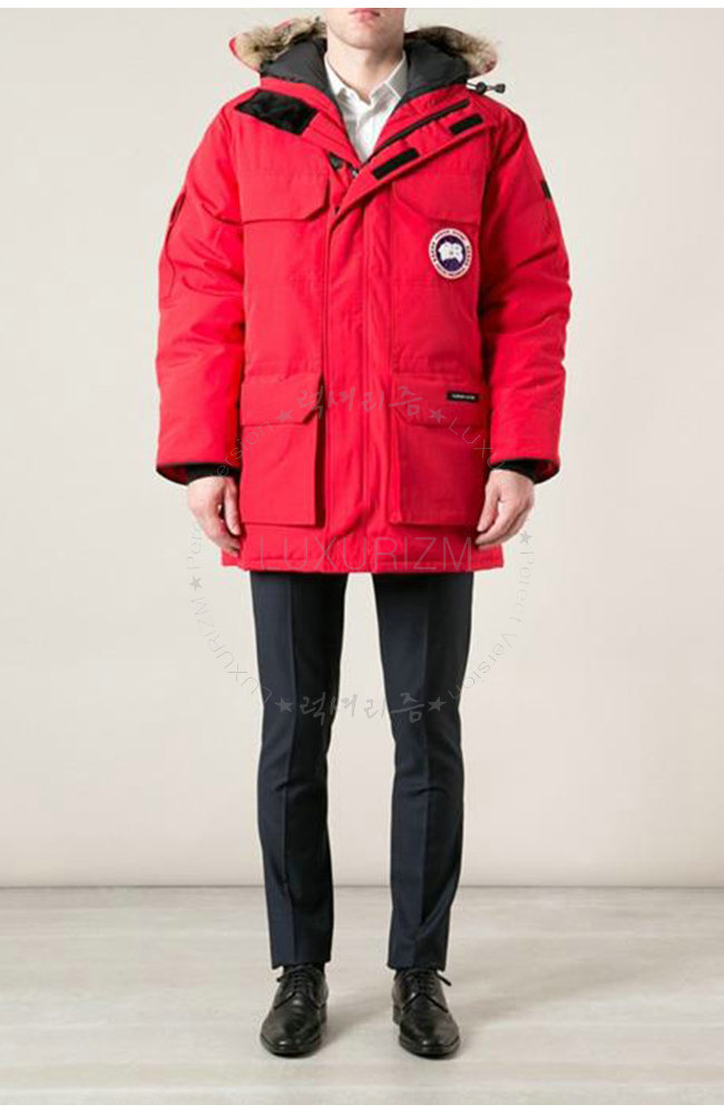 canada goose10-1103-1.jpg