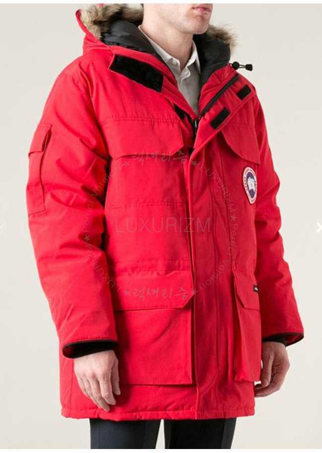 canada goose10-1103-2.jpg