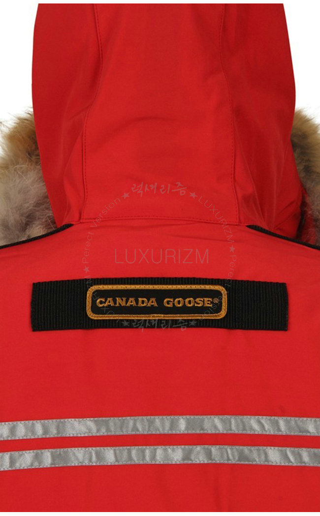 canada goose5-1103-3.jpg