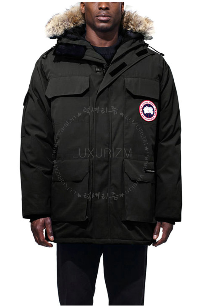 canada goose8-1103-1.jpg