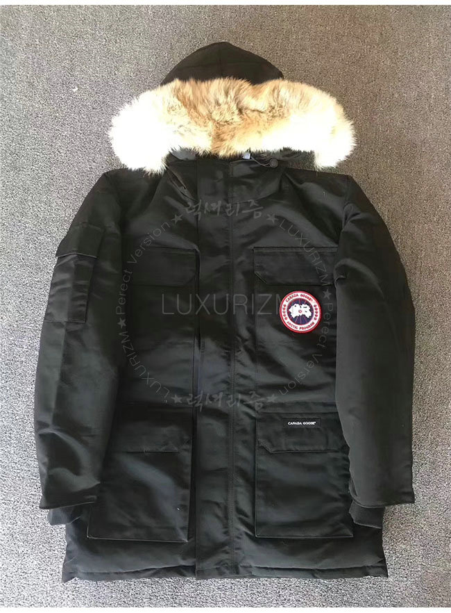 canada goose8-1103-9.jpg