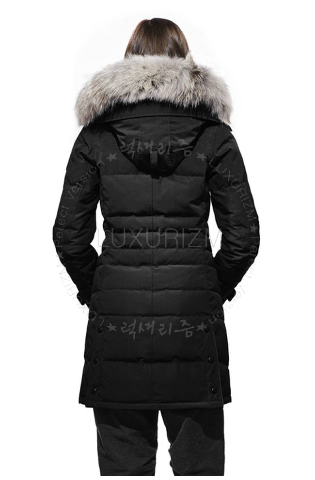 canada goose4-1107-3.jpg