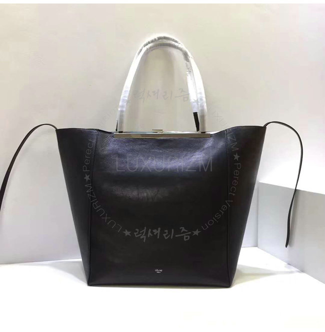 celine1-1205-001.jpg