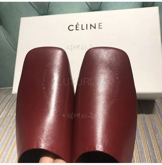 celine3-1211-7.jpg