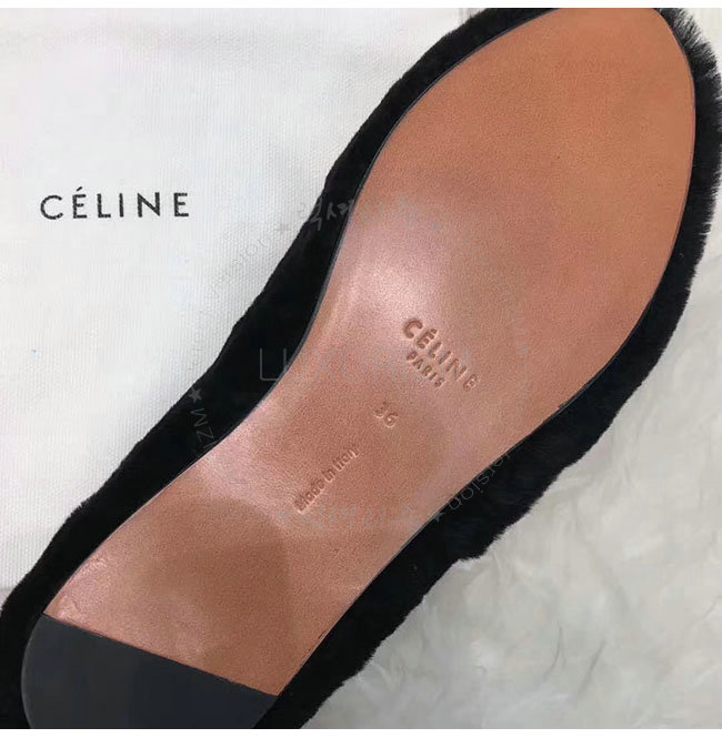 celine1-1218-10.jpg