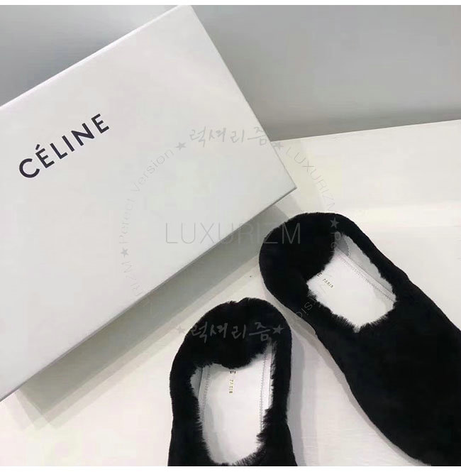 celine1-1218-9.jpg